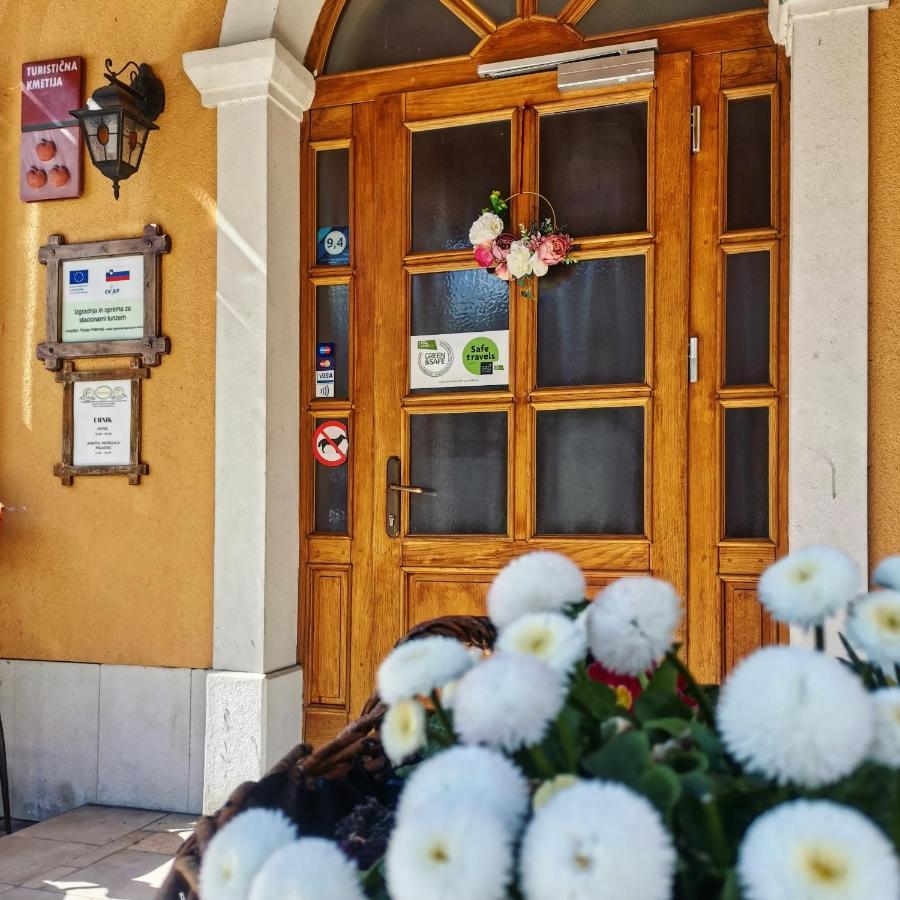 Farm Stay Peternelj Ilirska Bistrica Exterior foto