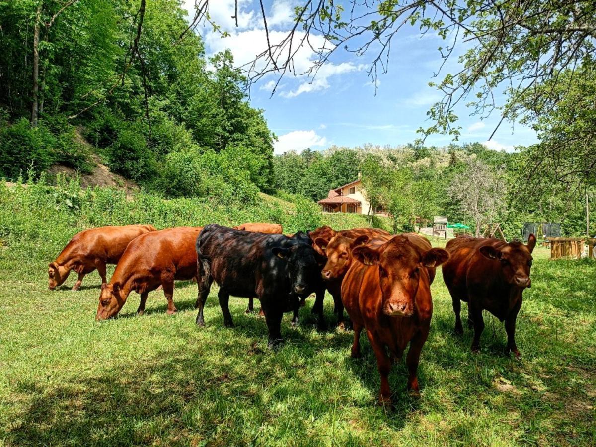 Farm Stay Peternelj Ilirska Bistrica Exterior foto