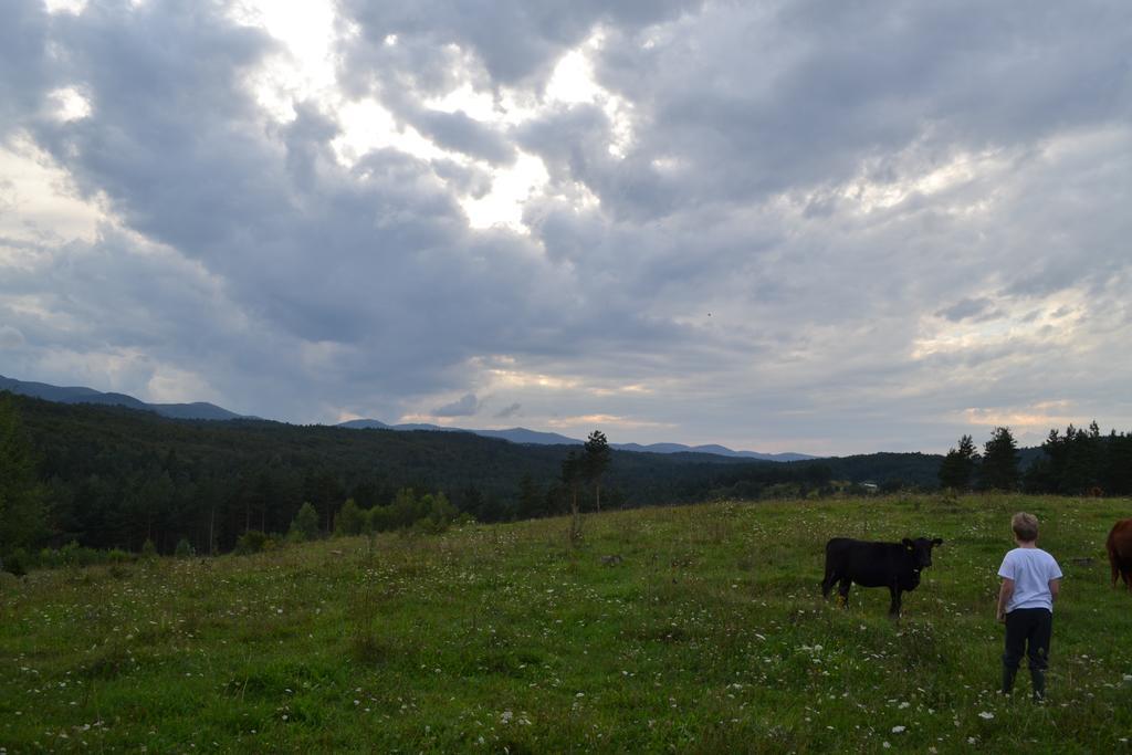 Farm Stay Peternelj Ilirska Bistrica Exterior foto